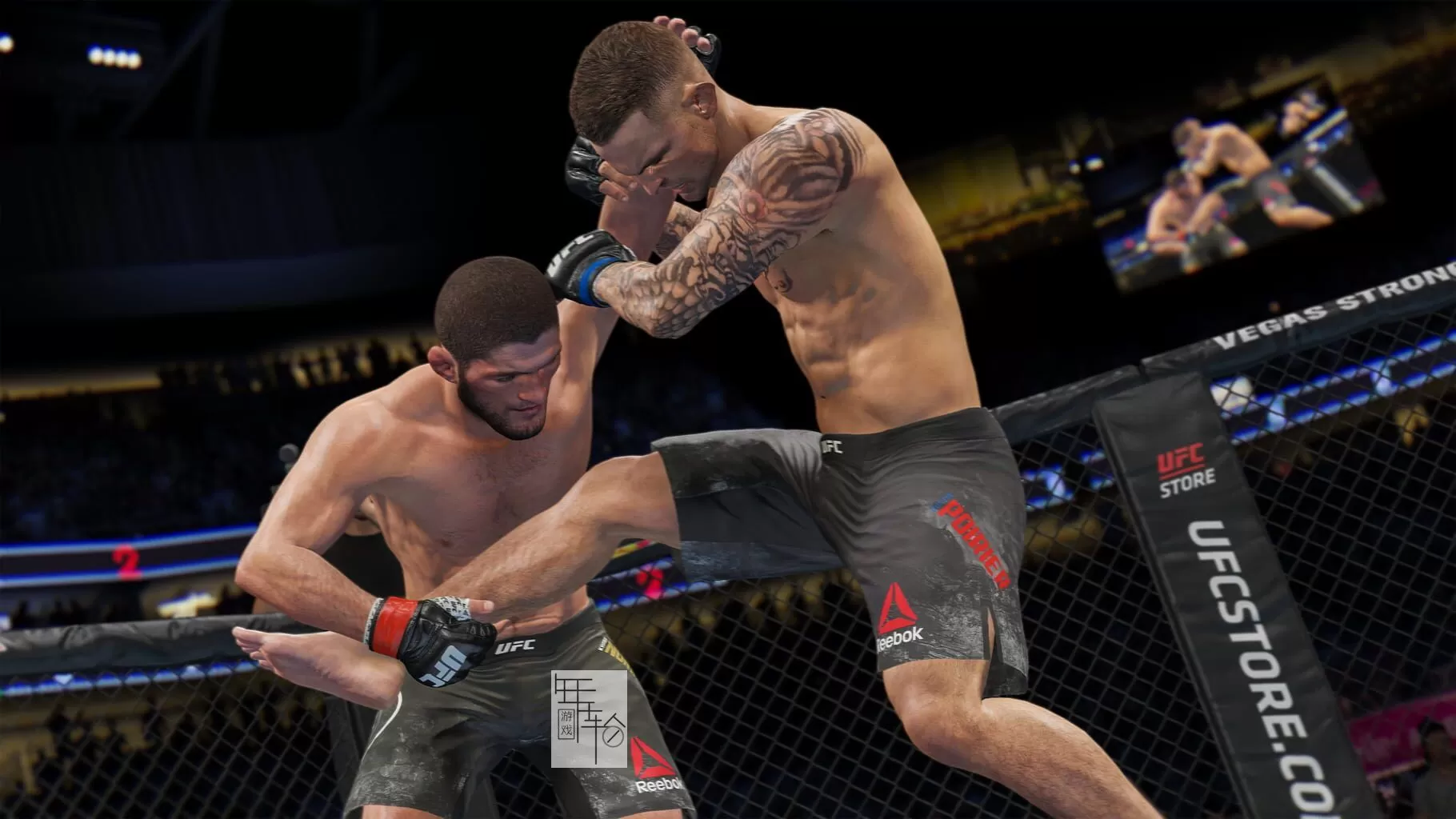 【5.05】PS4《UFC 终极格斗冠军赛4 EA Sports UFC 4》中文版PKG下载V28_3