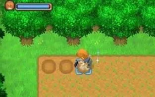 3DS《牧场物语 双子村+ Harvest Moon - The Tale of Two Towns!》中文版cia下载【含v1.3+DLC】