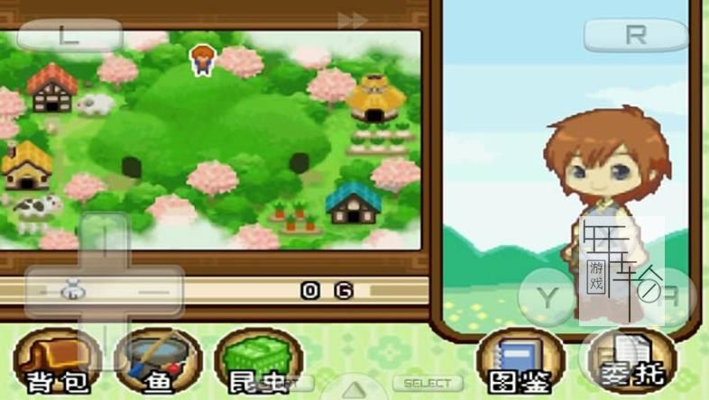 3DS《牧场物语 双子村+ Harvest Moon - The Tale of Two Towns!》中文版cia下载【含v1.3+DLC】_0
