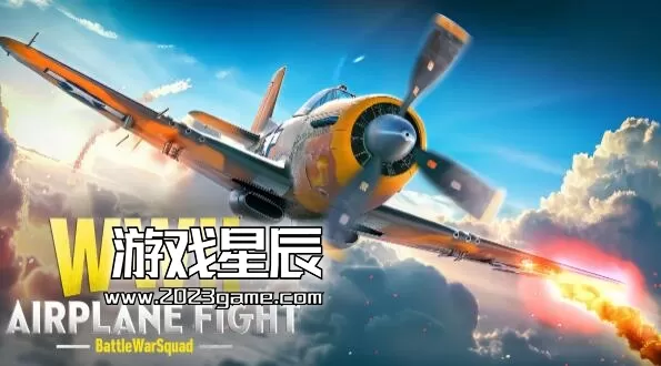 switch《二次世界大战飞机战斗-作战中队/WWII AIRPLANE FIGHT》英文版nsz下载